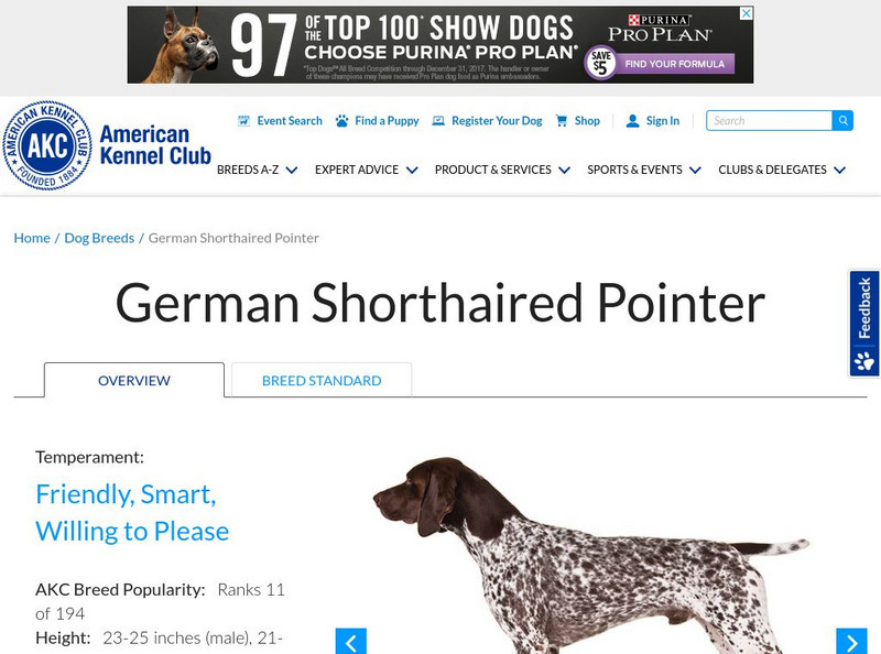 American Kennel Club: German Shorthaired Pointer Handout