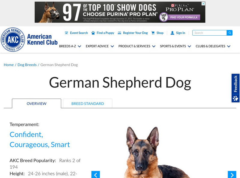 American Kennel Club: German Shepherd Dog Handout American Kennel Club: German Shepherd Dog Handout