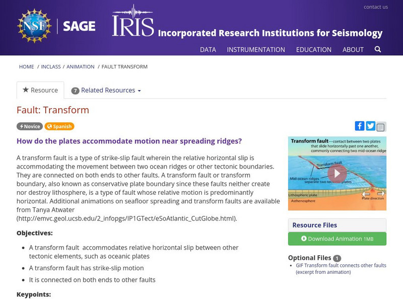 Iris: Transform Instructional Video