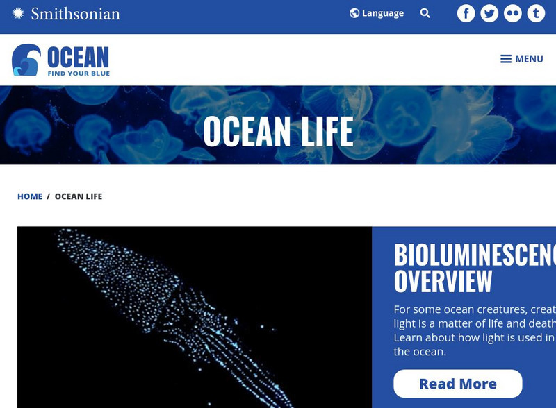 National Museum of Natural History: Ocean Portal: Ocean Life & Ecosystems Website National Museum of Natural History: Ocean Portal: Ocean Life & Ecosystems Website