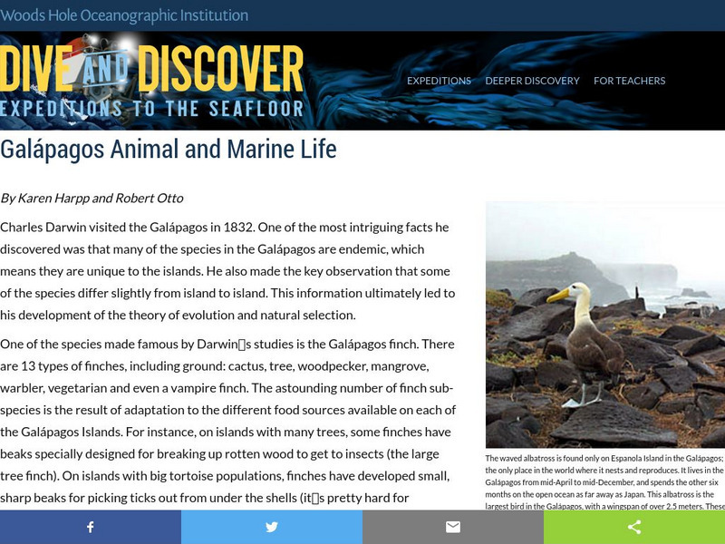 Woods Hole Oceanography Institute: Galapagos Animal and Marine Life Website Woods Hole Oceanography Institute: Galapagos Animal and Marine Life Website