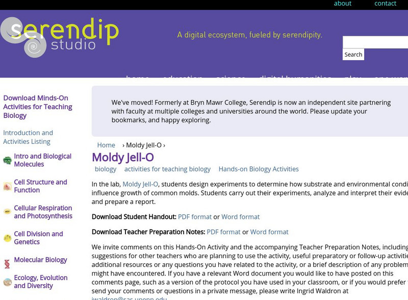 Serendip: Moldy Jell O Activity Serendip: Moldy Jell O Activity