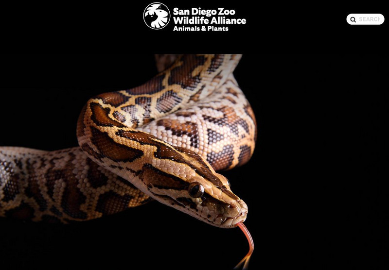 San Diego Zoo: Python Handout