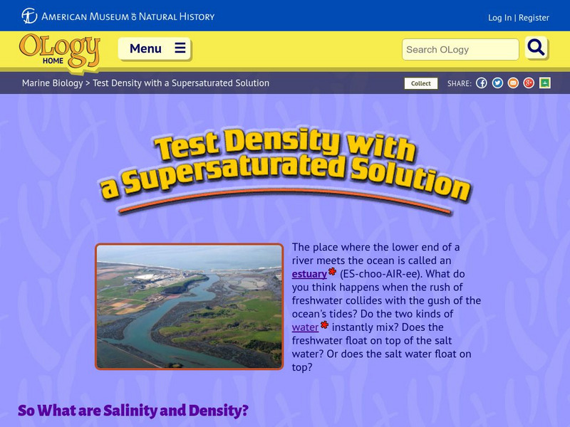 American Museum of Natural History: O Logy: Stuff to Do: Density of Salty Water Interactive American Museum of Natural History: O Logy: Stuff to Do: Density of Salty Water Interactive