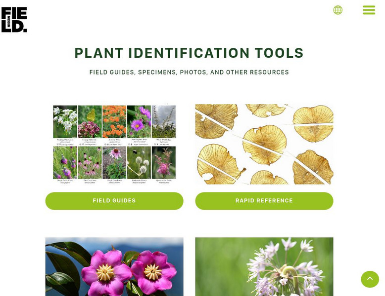 The Field Museum: Tropical Plant Guides Handout The Field Museum: Tropical Plant Guides Handout
