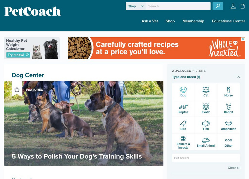 Pet Coach: Dogs Website Pet Coach: Dogs Website