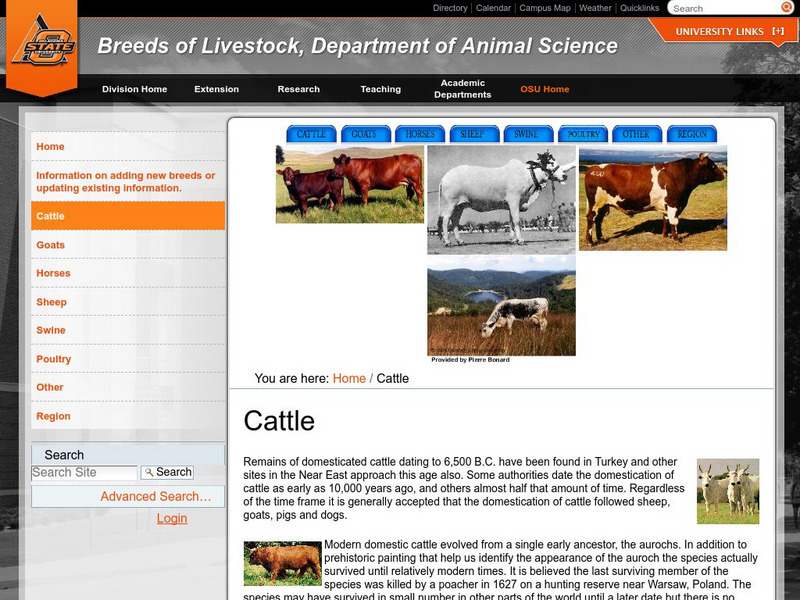 Oklahoma State University: Breeds of Livestock Cattle Handout Oklahoma State University: Breeds of Livestock Cattle Handout