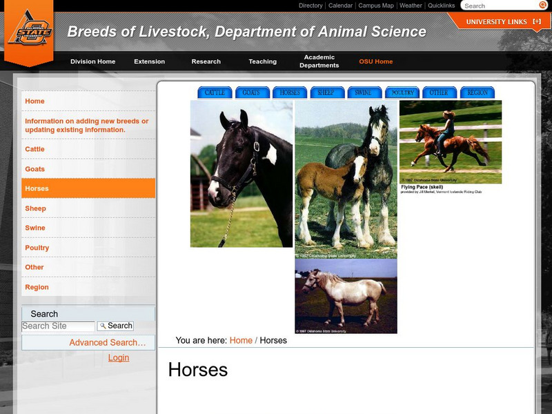 Oklahoma State University: Breeds of Livestock Horses Handout Oklahoma State University: Breeds of Livestock Horses Handout