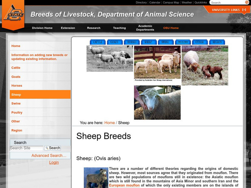 Oklahoma State University: Breeds of Livestock Sheep Handout
