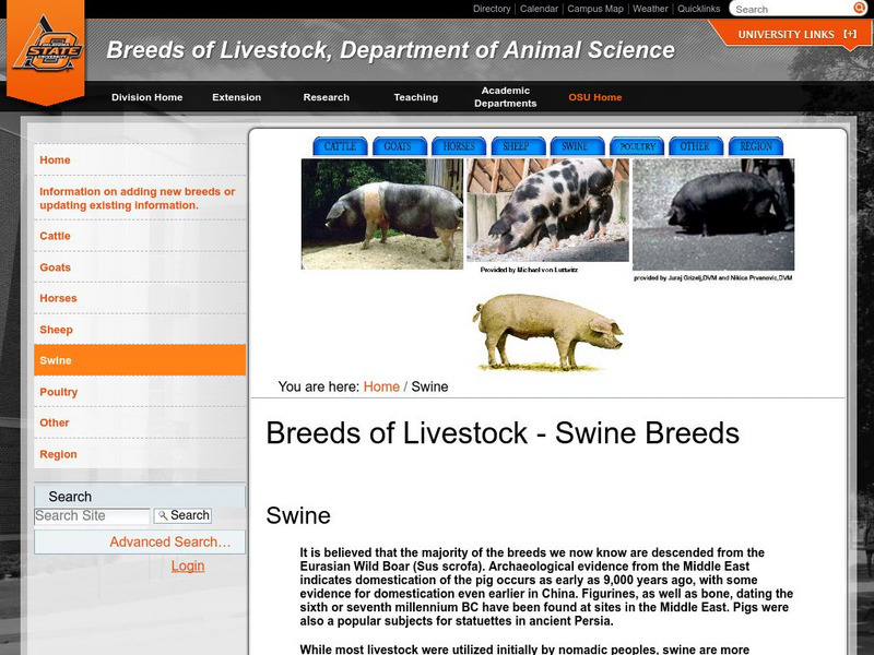 Oklahoma State University: Breeds of Livestock Swine Handout Oklahoma State University: Breeds of Livestock Swine Handout