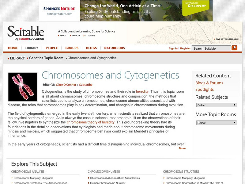 Scitable: Chromosomes and Cytogenetics Handout Scitable: Chromosomes and Cytogenetics Handout
