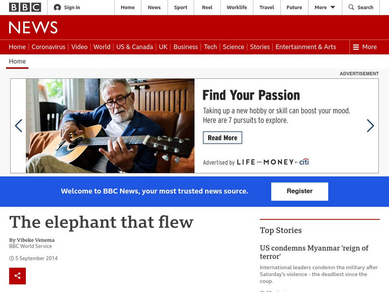 Bbc: Week of 9 8 14: The Elephant That Flew Article Bbc: Week of 9 8 14: The Elephant That Flew Article