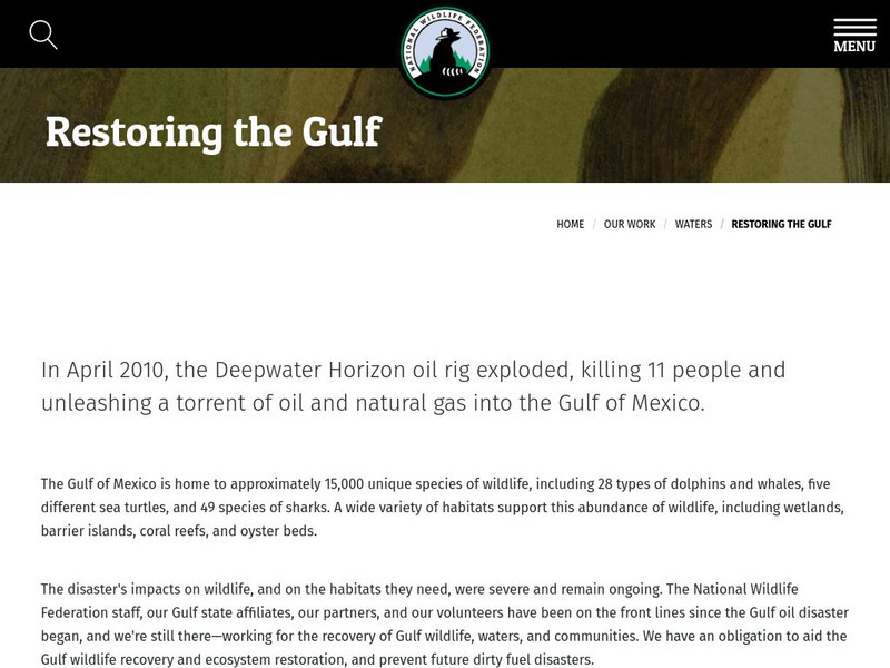 National Wildlife Fed.: Restoring the Gulf Website National Wildlife Fed.: Restoring the Gulf Website
