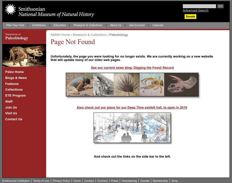 National Museum of Natural History: Paleobiology: Paleo Art Website National Museum of Natural History: Paleobiology: Paleo Art Website