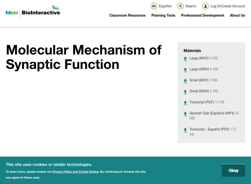 Hhmi: Biointeractive: Molecular Mechanism of Synaptic Function Unit Plan