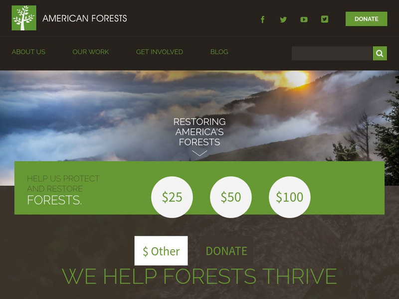 American Forests Website American Forests Website