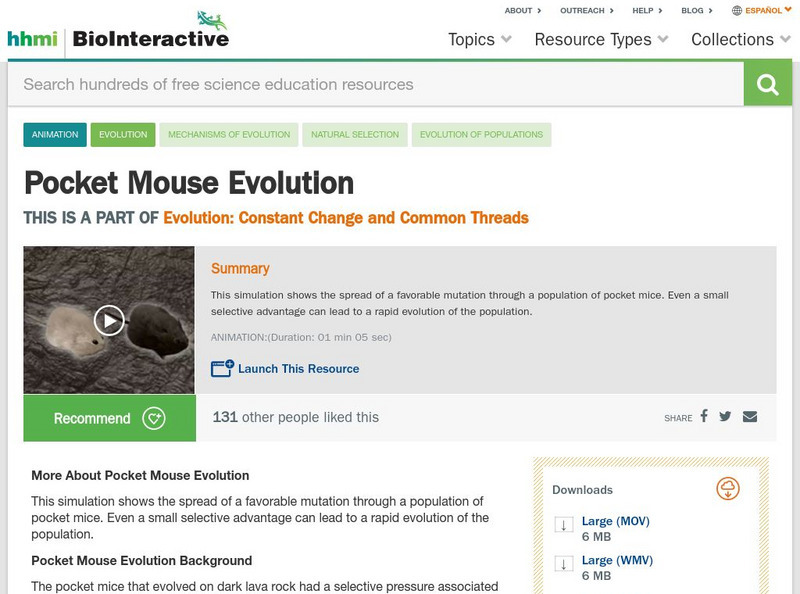 Hhmi: Bio Interactive: Pocket Mouse Evolution Instructional Video Hhmi: Bio Interactive: Pocket Mouse Evolution Instructional Video