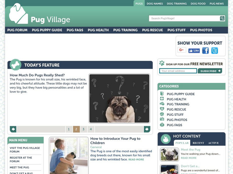 Pug Village Website