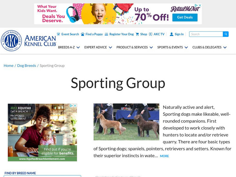 American Kennel Club: Breeds by Group: Sporting Dogs Handout
