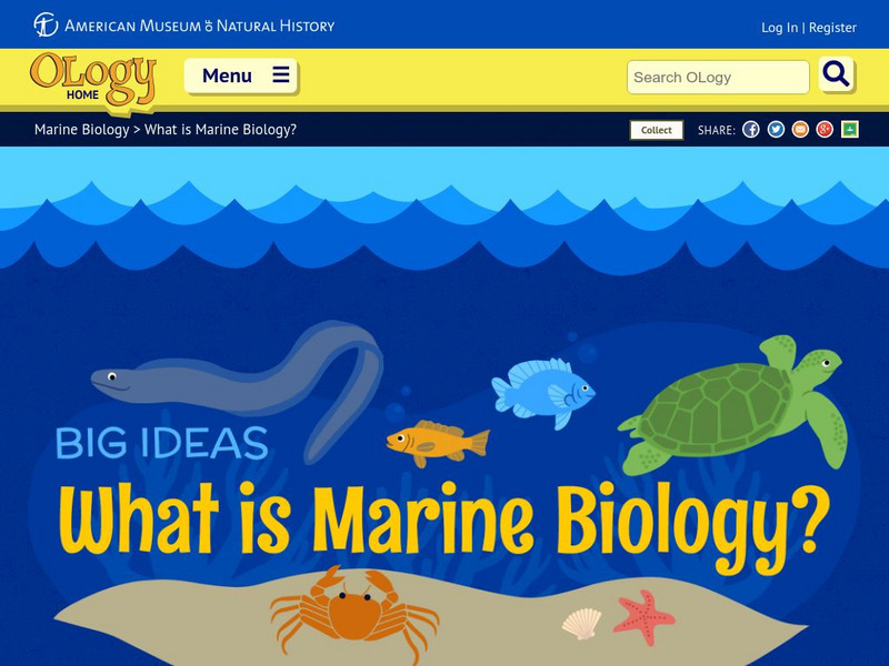 American Museum of Natural History: O Logy: What's the Big Idea? Marine Biology Interactive American Museum of Natural History: O Logy: What's the Big Idea? Marine Biology Interactive