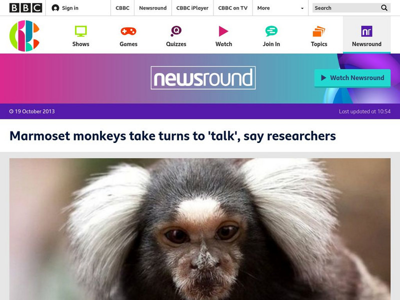 Bbc Newsround: Marmoset Monkeys Take Turns to 'Talk' Article Bbc Newsround: Marmoset Monkeys Take Turns to 'Talk' Article