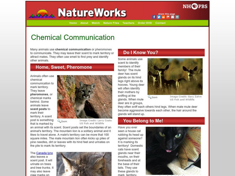 Nh Pbs: Nature Works: Chemical Communication Handout Nh Pbs: Nature Works: Chemical Communication Handout