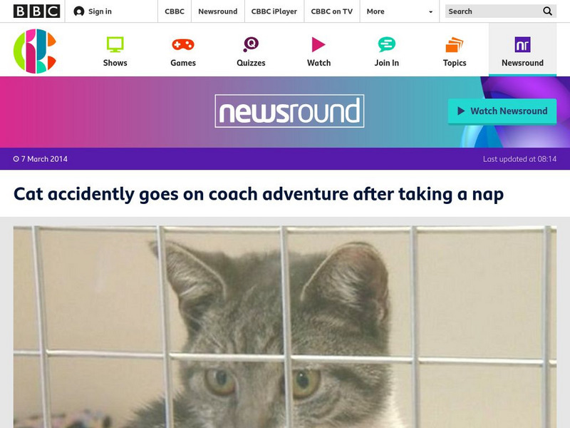 Bbc Newsround: Cat Accidently Goes on Coach Adventure Article Bbc Newsround: Cat Accidently Goes on Coach Adventure Article