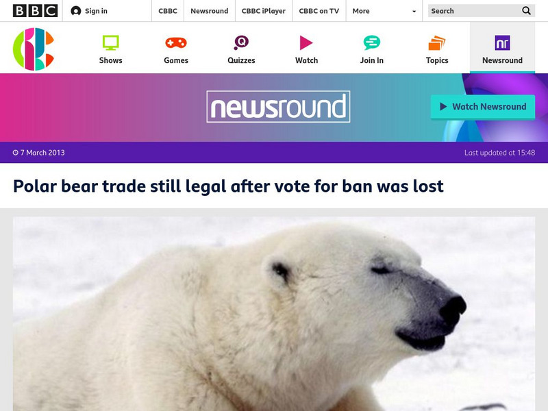 Bbc Newsround: Polar Bear Trade Still Legal Article Bbc Newsround: Polar Bear Trade Still Legal Article