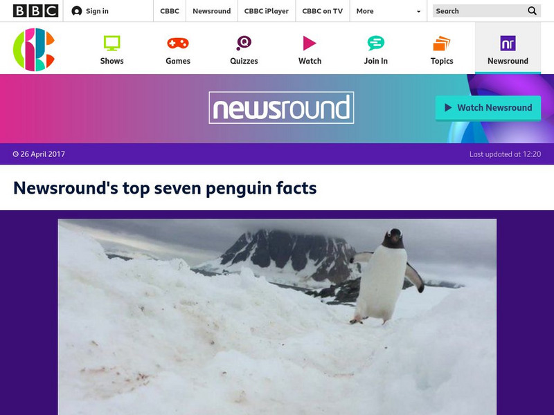 Bbc Newsround: Newsround's Top Penguin Facts Article Bbc Newsround: Newsround's Top Penguin Facts Article