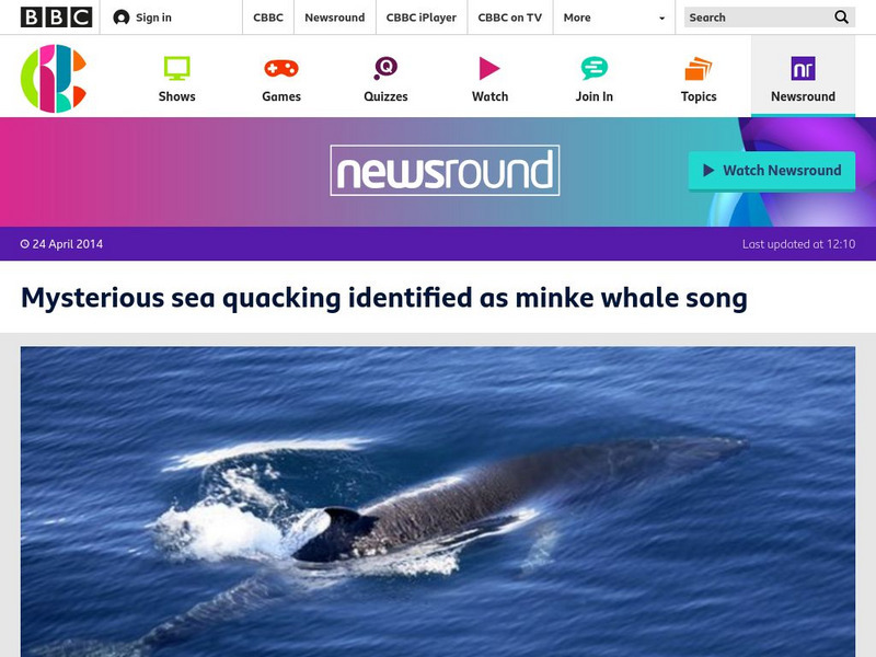 Bbc Newsround: Mysterious Sea Quacking Identified Article Bbc Newsround: Mysterious Sea Quacking Identified Article