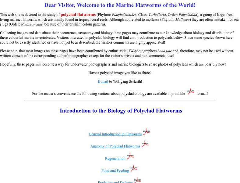 Marine Flatworms of the World! Website Marine Flatworms of the World! Website