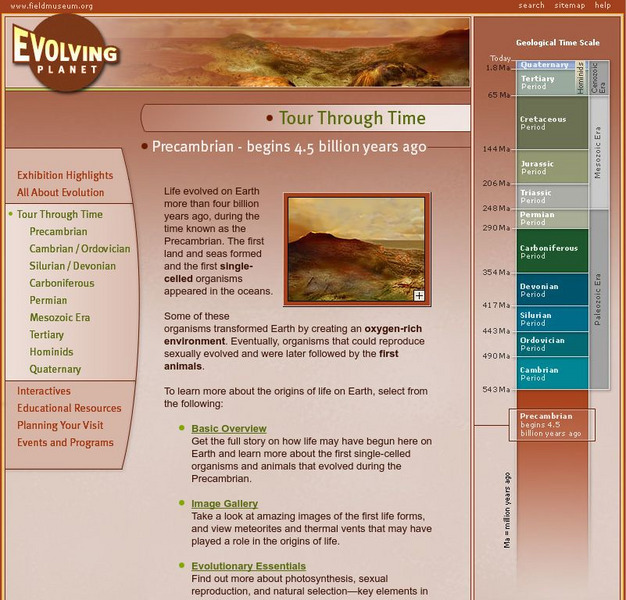 Field Museum: Exhibits: Evolving Planet: Precambrian Website Field Museum: Exhibits: Evolving Planet: Precambrian Website