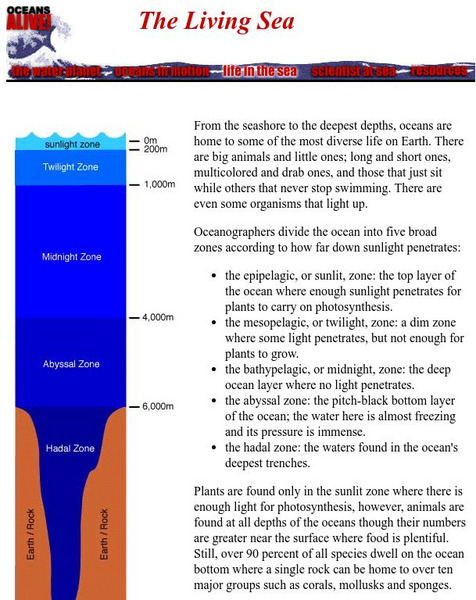 Museum of Science, Boston: Oceans Alive: The Living Sea Handout Museum of Science, Boston: Oceans Alive: The Living Sea Handout