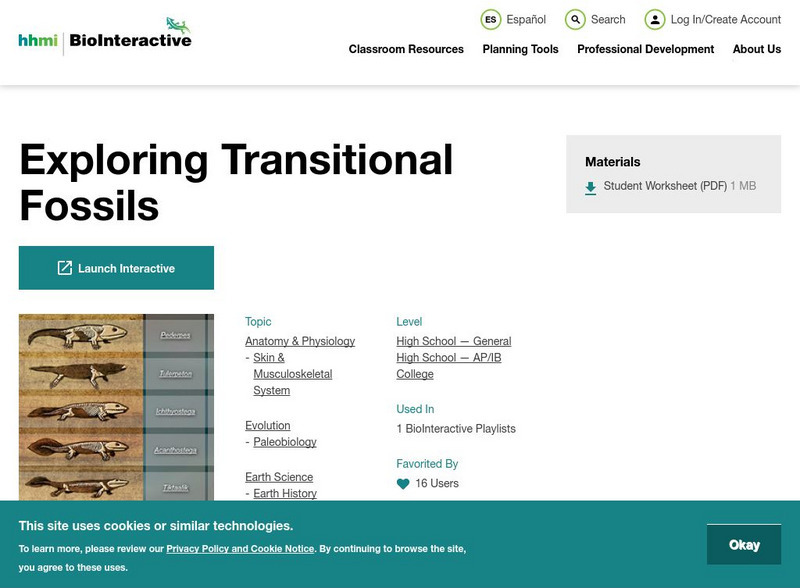 Hhmi: Bio Interactive: Great Transitions Interactive PPT Hhmi: Bio Interactive: Great Transitions Interactive PPT