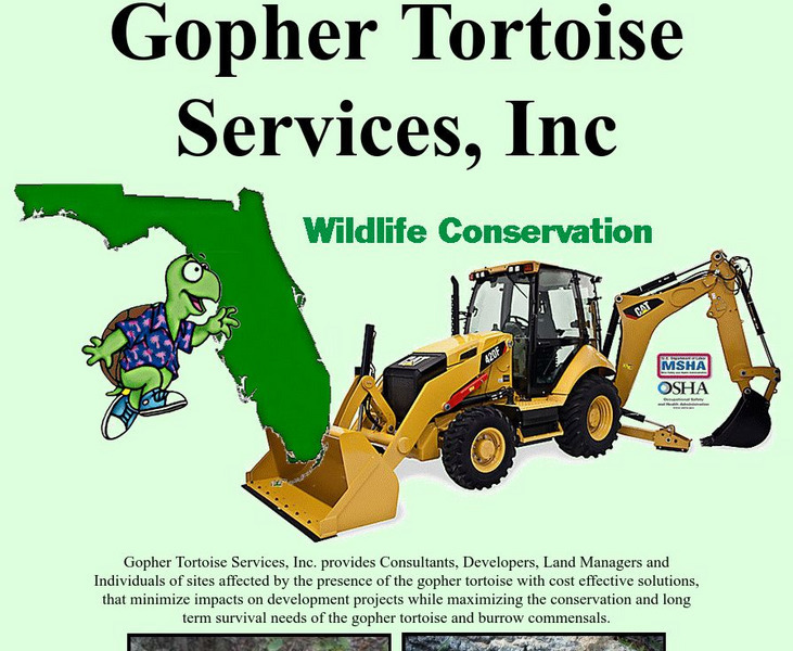 The Gopher Tortoise Organization Website