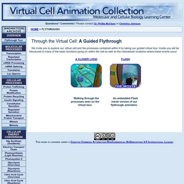 Molecular and Cellular Biology Learning Ctr: Virtual Cell Animation Collection Website Molecular and Cellular Biology Learning Ctr: Virtual Cell Animation Collection Website