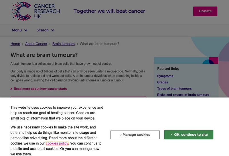 Cancer Research Uk: The Brain Article Cancer Research Uk: The Brain Article