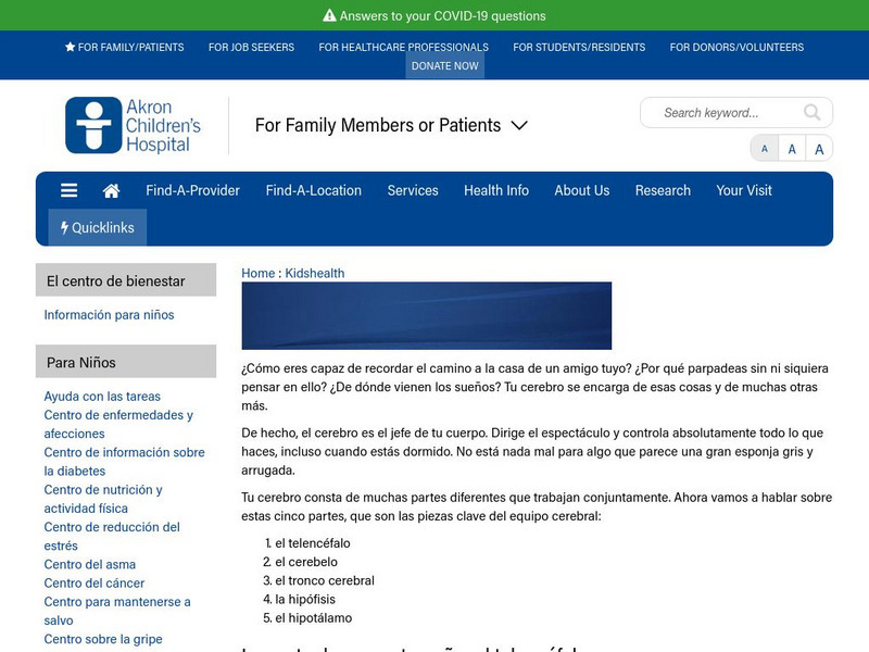 Akron Children's Hospital: Kids Health: El Cerebro Y El Sistema Nervioso Handout Akron Children's Hospital: Kids Health: El Cerebro Y El Sistema Nervioso Handout