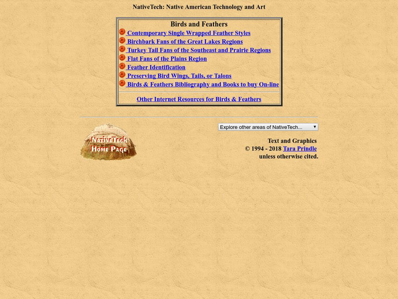 Native Tech: Birds and Feathers Website Native Tech: Birds and Feathers Website