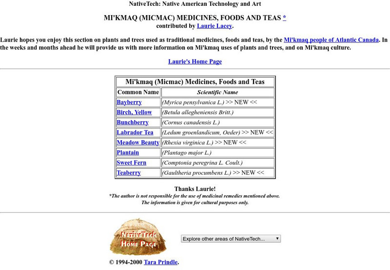 Native Tech: Mi'kmaq (Micmac) Medicines, Foods, and Teas Website Native Tech: Mi'kmaq (Micmac) Medicines, Foods, and Teas Website