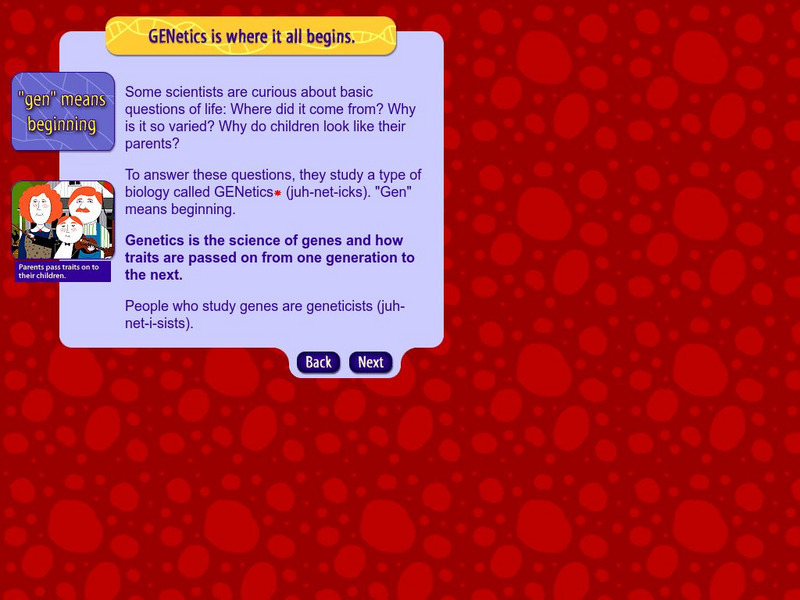 American Museum of Natural History: O Logy: What's the Big Idea? Genetics Interactive American Museum of Natural History: O Logy: What's the Big Idea? Genetics Interactive