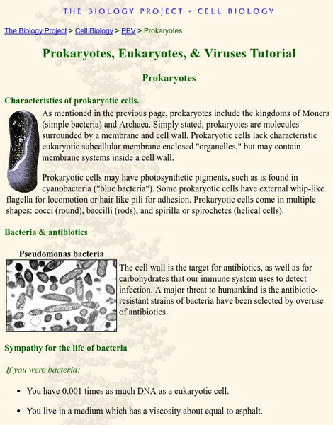 The Biology Project: Prokaryotes Handout