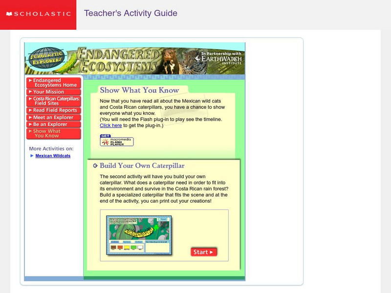 Scholastic: Endangered Ecosystems: Build Your Own Caterpillar Activity