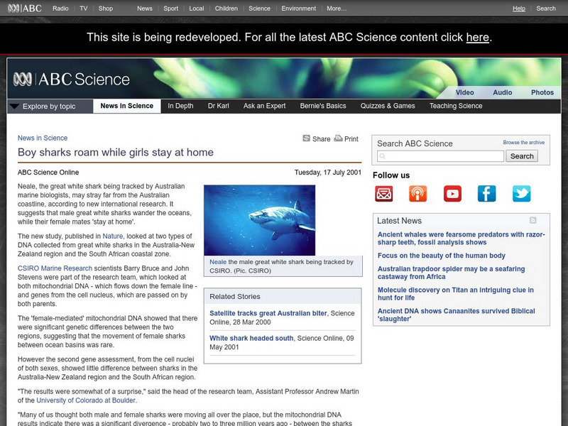 Australian Broadcasting Corporation: News in Science: Boy Sharks Roam, Girls Stay Home Handout Australian Broadcasting Corporation: News in Science: Boy Sharks Roam, Girls Stay Home Handout