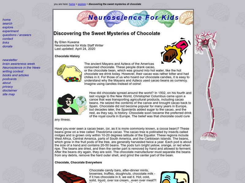 Neuroscience for Kids: Discovering the Sweet Mysteries of Chocolate Article