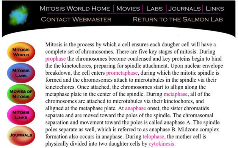 Caps Unc Chapel Hill: Mitosis World Home Unit Plan Caps Unc Chapel Hill: Mitosis World Home Unit Plan
