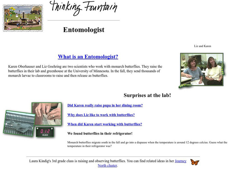 Science Museum of Minnesota: Entomologist Activity Science Museum of Minnesota: Entomologist Activity