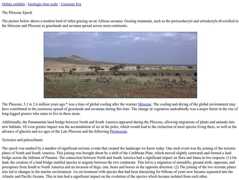Ucmp: The Pliocene Epoch Website Ucmp: The Pliocene Epoch Website
