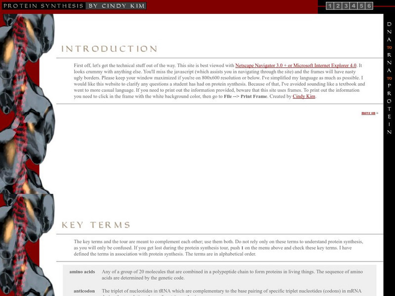 University of Illinois: Protein Synthesis by Cindy Kim Handout University of Illinois: Protein Synthesis by Cindy Kim Handout