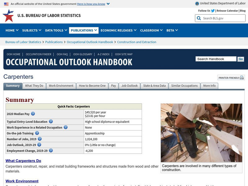 Bureau of Labor Statistics: Carpenters Handout Bureau of Labor Statistics: Carpenters Handout